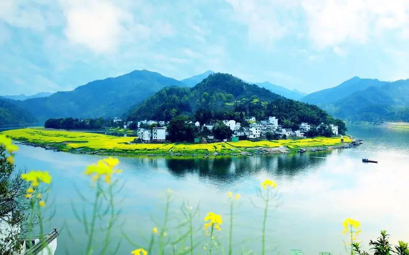 电子节能高端